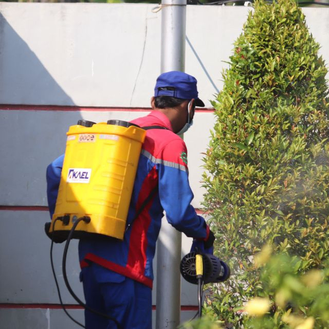 Mann sprayer busk
